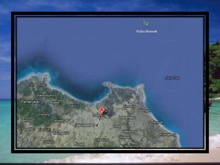Ppt.biologi konservasi helvi musdarlia