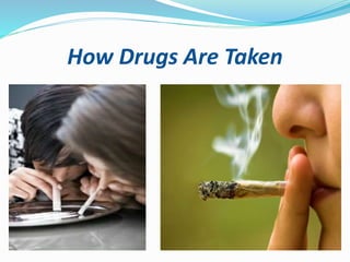 How Drugs Are Taken
 