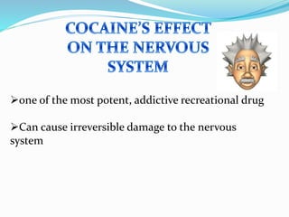 one of the most potent, addictive recreational drug
Can cause irreversible damage to the nervous
system
 