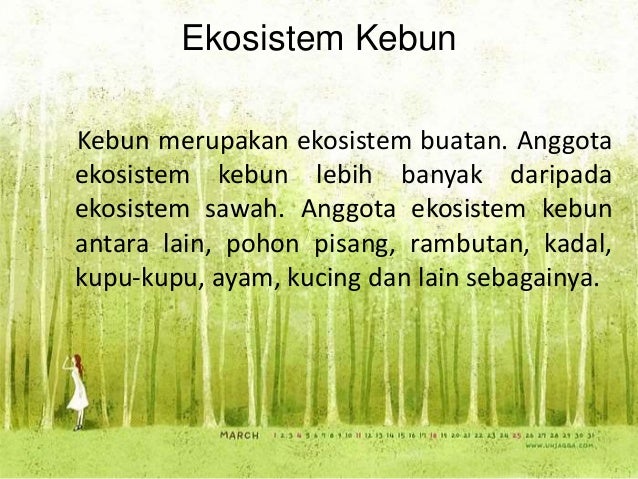 Makhluk Hidup dan Lingkungannya