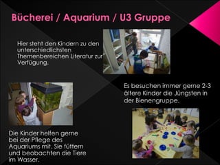 Es besuchen immer gerne 2-3
ältere Kinder die Jüngsten in
der Bienengruppe.
Hier steht den Kindern zu den
unterschiedlichsten
Themenbereichen Literatur zur
Verfügung.
Die Kinder helfen gerne
bei der Pflege des
Aquariums mit. Sie füttern
und beobachten die Tiere
im Wasser.
 