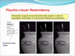 Psycho-visual Redundancy
Elimination of psych-visual redundant data results in a loss of
quantitative information ,it is commonly referred as quantization.
Improved Gray-
Scale
 
