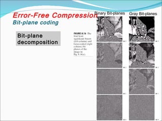 Error-Free Compression
Bit-plane coding
Binary Bit-planes Gray Bit-planes
Bit-plane
decomposition
 