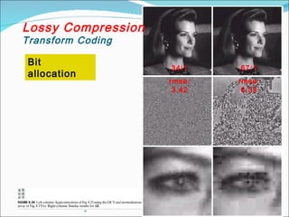 H
Lossy Compression
Transform Coding
Bit
allocation
67:1
rmse:
6.33
34:1
rmse:
3.42
 
