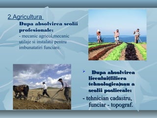 2.Agricultura
Dupa absolvirea scolii
profesionale:
- mecanic agricol,mecanic
utilaje si instalatii pentru
imbunatatiri funciare.
 Dupa absolvireaDupa absolvirea
liceului(filieraliceului(filiera
tehnologica)sau atehnologica)sau a
scolii posliceale:scolii posliceale:
-- tehnician cadastrutehnician cadastru,,
funciarfunciar -- topograf.topograf.
 