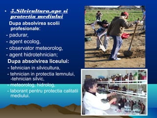 • 5.Silvicultura,ape si
protectia mediului
Dupa absolvirea scolii
profesionale:
- padurar,
- agent ecolog,
- observator meteorolog,
- agent hidrotehnician;
Dupa absolvirea liceului:
- tehnician in silvicultura,
- tehnician in protectia lemnului,
-tehnician silvic,
- meteorolog, hidrolog,
- laborant pentru protectia calitatii
mediului.
 