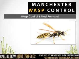 Wasp Control & Nest Removal
 
