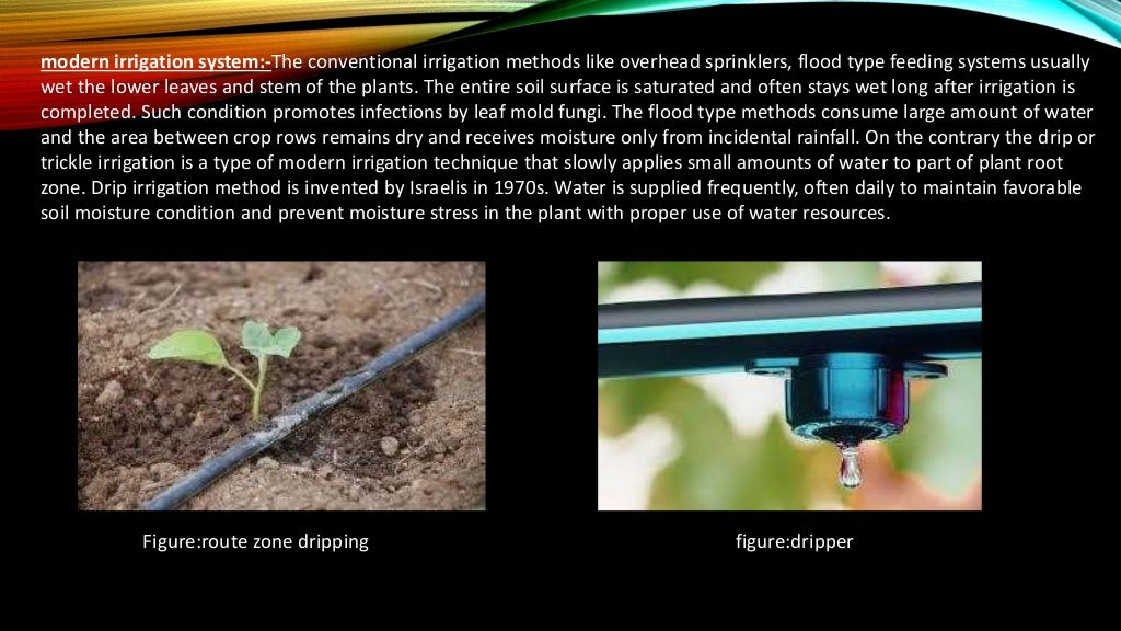 microcontroller based automation of drip irrigation system