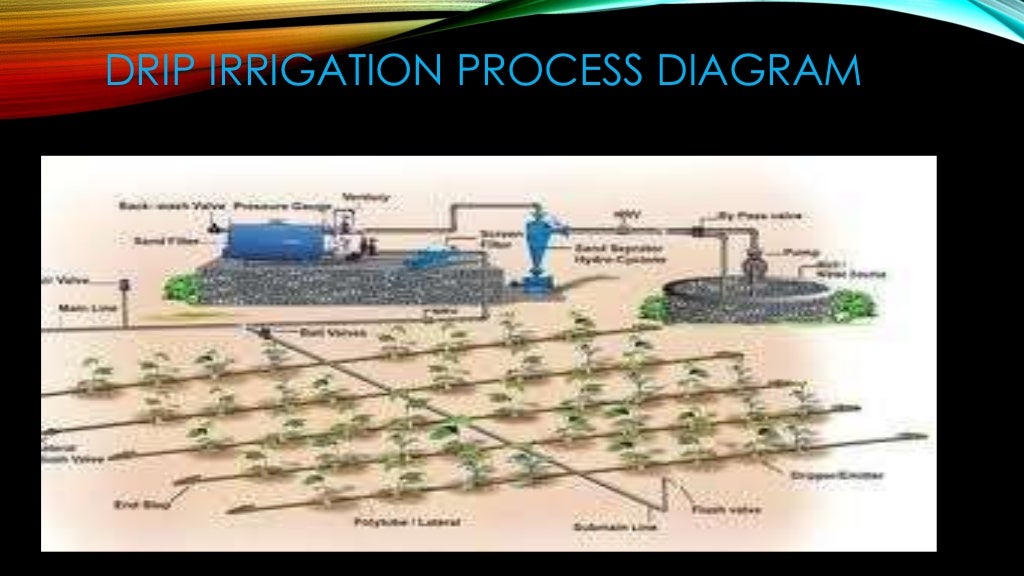 microcontroller based automation of drip irrigation system