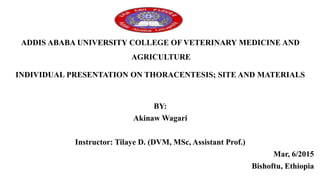 ADDIS ABABA UNIVERSITY COLLEGE OF VETERINARY MEDICINE AND
AGRICULTURE
INDIVIDUAL PRESENTATION ON THORACENTESIS; SITE AND MATERIALS
BY:
Akinaw Wagari
Instructor: Tilaye D. (DVM, MSc, Assistant Prof.)
Mar, 6/2015
Bishoftu, Ethiopia
 
