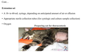 Cont…
Extension set
• A 10- to 60-mL syringe, depending on anticipated amount of air or effusion
• Appropriate sterile collection tubes (for cytologic and culture sample collection)
• Oxygen
Preparing cat for thoracentesis
 