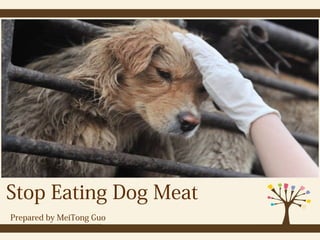 Stop Eating Dog Meat
Prepared by MeiTong Guo
 