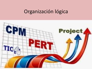 Organización lógica
 