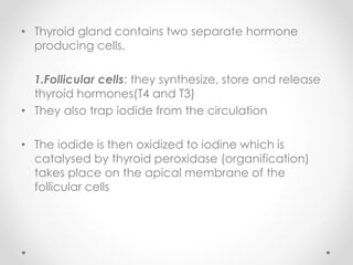 • Thyroid gland contains two separate hormone
producing cells.
1.Follicular cells: they synthesize, store and release
thyroid hormones(T4 and T3)
• They also trap iodide from the circulation
• The iodide is then oxidized to iodine which is
catalysed by thyroid peroxidase (organification)
takes place on the apical membrane of the
follicular cells
 