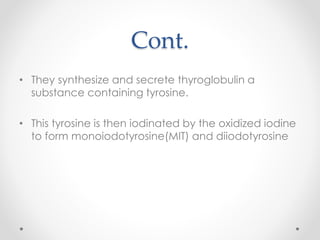 Cont.
• They synthesize and secrete thyroglobulin a
substance containing tyrosine.
• This tyrosine is then iodinated by the oxidized iodine
to form monoiodotyrosine(MIT) and diiodotyrosine
 