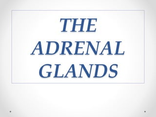 THE
ADRENAL
GLANDS
 