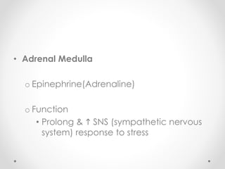 • Adrenal Medulla
o Epinephrine(Adrenaline)
o Function
• Prolong & h SNS (sympathetic nervous
system) response to stress
 