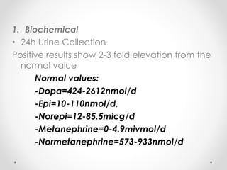1. Biochemical
• 24h Urine Collection
Positive results show 2-3 fold elevation from the
normal value
Normal values:
-Dopa=424-2612nmol/d
-Epi=10-110nmol/d,
-Norepi=12-85.5micg/d
-Metanephrine=0-4.9mivmol/d
-Normetanephrine=573-933nmol/d
 