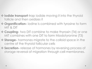  Iodide transport-trap iodide moving it into the thyroid
follicle and then oxidizes it
 Organification- iodine is combined with tyrosine to form
MIT & DIT
 Coupling- two DIT combine to make thyroxin (T4) or one
MIT combines with one DIT to form triiodotyronine (T3)
 Storage- hormones migrate to the colloid space in the
centre of the thyroid follicular cells
 Secretion- release of hormones by reversing process of
storage reversal of migration through cell membranes.
 