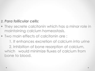 2. Para follicular cells:
 They secrete calcitonin which has a minor role in
maintaining calcium homeostasis.
 Two main effects of calcitonin are :
1. It enhances excretion of calcium into urine
2. Inhibition of bone resorption of calcium,
which would minimize fluxes of calcium from
bone to blood.
 