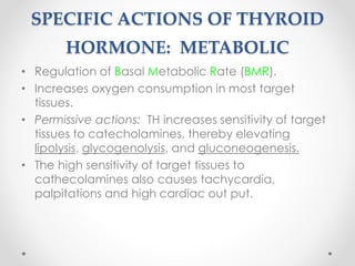 SPECIFIC ACTIONS OF THYROID
HORMONE: METABOLIC
• Regulation of Basal Metabolic Rate (BMR).
• Increases oxygen consumption in most target
tissues.
• Permissive actions: TH increases sensitivity of target
tissues to catecholamines, thereby elevating
lipolysis, glycogenolysis, and gluconeogenesis.
• The high sensitivity of target tissues to
cathecolamines also causes tachycardia,
palpitations and high cardiac out put.
 