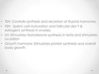 • TSH: Controlls synthesis and secretion of thyroid hormones
• FSH: Sperm cell maturation and follicular dev’t &
estrogens synthesis in ovaries
• LH: Stimulates testosterone synthesis in testis and stimulates
ovulation
• Growth hormone: Stimulates protein synthesis and overall
body growth
 