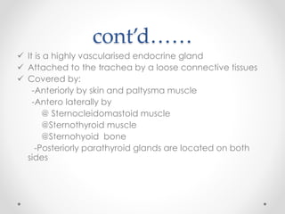 cont’d……
 It is a highly vascularised endocrine gland
 Attached to the trachea by a loose connective tissues
 Covered by:
-Anteriorly by skin and paltysma muscle
-Antero laterally by
@ Sternocleidomastoid muscle
@Sternothyroid muscle
@Sternohyoid bone
-Posteriorly parathyroid glands are located on both
sides
 