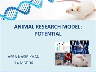 ASRA NASIR KHAN
14 MBT 06
ANIMAL RESEARCH MODEL:
POTENTIAL
1
 