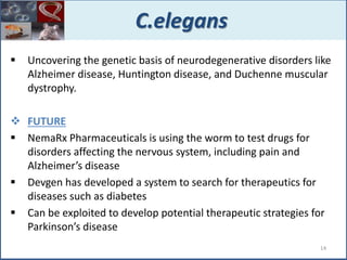  Uncovering the genetic basis of neurodegenerative disorders like
Alzheimer disease, Huntington disease, and Duchenne muscular
dystrophy.
 FUTURE
 NemaRx Pharmaceuticals is using the worm to test drugs for
disorders affecting the nervous system, including pain and
Alzheimer’s disease
 Devgen has developed a system to search for therapeutics for
diseases such as diabetes
 Can be exploited to develop potential therapeutic strategies for
Parkinson’s disease
C.elegans
14
 