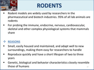  Rodent models are widely used by researchers in the
pharmaceutical and biotech industries. 95% of all lab animals are
rodents
 For probing the immune, endocrine, nervous, cardiovascular,
skeletal and other complex physiological systems that mammals
share
 REASONS
 Small, easily housed and maintained, and adapt well to new
surroundings, making them easy for researchers to handle
 Reproduce quickly and have a short lifespan of two to three
years
 Genetic, biological and behavior characteristics closely resemble
those of humans
RODENTS
17
 