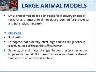  Small animal models are best suited for discovery phases of
research and larger animal models are required for pre-clinical
and translational research
 REASONS-
 Similarities
 Pathogens that naturally infect large animals are genetically
closely related to those that afflict human
 Pathological and clinical changes that occur after infection in
large animals mimic the human response much more closely
than does in an unnatural lab host
LARGE ANIMAL MODELS
31
 