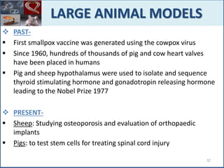  PAST-
 First smallpox vaccine was generated using the cowpox virus
 Since 1960, hundreds of thousands of pig and cow heart valves
have been placed in humans
 Pig and sheep hypothalamus were used to isolate and sequence
thyroid stimulating hormone and gonadotropin releasing hormone
leading to the Nobel Prize 1977
 PRESENT-
 Sheep: Studying osteoporosis and evaluation of orthopaedic
implants
 Pigs: to test stem cells for treating spinal cord injury
LARGE ANIMAL MODELS
32
 
