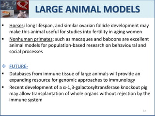  Horses: long lifespan, and similar ovarian follicle development may
make this animal useful for studies into fertility in aging women
 Nonhuman primates: such as macaques and baboons are excellent
animal models for population-based research on behavioural and
social processes
 FUTURE-
 Databases from immune tissue of large animals will provide an
expanding resource for genomic approaches to immunology
 Recent development of a α-1,3-galactosyltransferase knockout pig
may allow transplantation of whole organs without rejection by the
immune system
LARGE ANIMAL MODELS
33
 