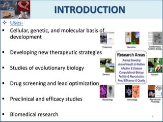  Uses-
 Cellular, genetic, and molecular basis of
development
 Developing new therapeutic strategies
 Studies of evolutionary biology
 Drug screening and lead optimization
 Preclinical and efficacy studies
 Biomedical research
INTRODUCTION
4
 