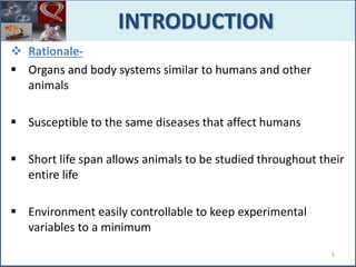  Rationale-
 Organs and body systems similar to humans and other
animals
 Susceptible to the same diseases that affect humans
 Short life span allows animals to be studied throughout their
entire life
 Environment easily controllable to keep experimental
variables to a minimum
INTRODUCTION
5
 