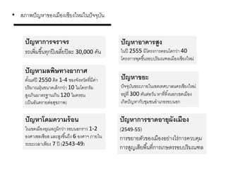 • สภาพปัญหาของเมืองเชียงใหม่ในปัจจุบัน
ปัญหาการจราจร
รถเพิ่มขึ้นทุกปีเฉลี่ยปีละ 30,000 คัน
ปัญหามลพิษทางอากาศ
ตั้งแต่ปี 2550 ติด 1-4 ของจังหวัดที่มีค่า
ปริมาณฝุ่นขนาดเล็กกว่า 10 ไมโครกรัม
สูงเกินมาตรฐานเกิน 120 ไมครอน
(เป็นอันตรายต่อสุขภาพ)
ปัญหาโดมความร้อน
ในเขตเมืองอุณหภูมิกว่า รอบนอกราว 1-2
องศาเซลเซียส และสูงขึ้นถึง 6 องศาฯ ภายใน
ระยะเวลาเพียง 7 ปี (2543-49)
ปัญหาอาคารสูง
ในปี 2555 มีโครงการคอนโดกว่า 40
โครงการพุดขึ้นรอบปริมณฑลเมืองเชียงใหม่
ปัญหาขยะ
ปัจจุบันขยะภายในเขตเทศบาลนครเชียงใหม่
อยู่ที่ 300 ตันต่อวัน หาที่ทิ้งนอกเขตเมือง
เกิดปัญหากับชุมชนอาเภอรอบนอก
ปัญหาการขาดอายุผังเมือง
(2549-55)
การขยายตัวของเมืองอย่างไร่การควบคุม
การสูญเสียพื้นที่การเกษตรรอบปริมณฑล
 