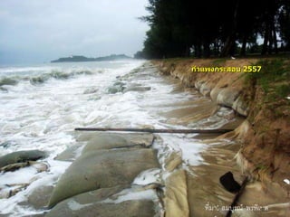 กาแพงกระสอบ 2557
ที่มา: สมบูรณ์ พรพิเนต46
 