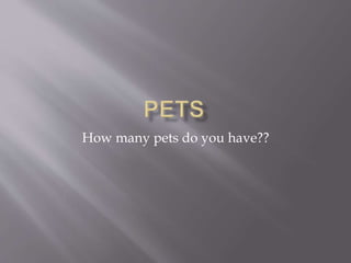 How many pets do you have??
 