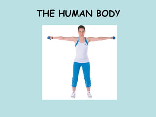THE HUMAN BODY
 