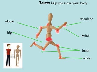 Joints help you move your body.
ankle
knee
hip
wrist
shoulder
elbow
 