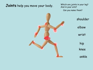 Joints help you move your body.
Which are joints in your leg?
And in your arm?
ankle
knee
hip
wrist
shoulder
elbow
Can you name them?
 