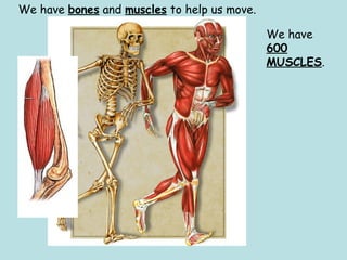 We have bones and muscles to help us move.
We have
600
MUSCLES.
 