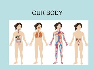 OUR BODY
 
