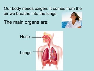 Our body needs oxigen. It comes from the
air we breathe into the lungs.
The main organs are:
Nose
Lungs
 
