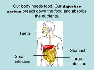 Our body needs food. Our digestive
system breaks down the food and absorbs
the nutrients.
Teeth
Stomach
Small
intestine
Large
intestine
 