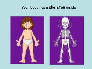 Your body has a skeleton inside
 