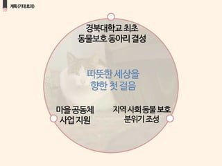 상상드림프로젝트 PPT  팀 설레냥