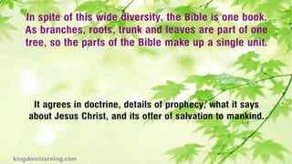 Is the Bible God's Word or Man's Word?