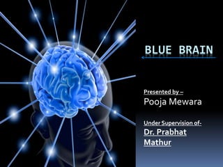 BLUE BRAIN
Presented by –
Pooja Mewara
Under Supervision of-
Dr. Prabhat
Mathur
 