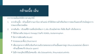 กล้ามเนื้อ เอ็น
อาการปวดเมื่อยเกิดได้จากสาเหตุ ดังนี้
1. จากกล้ามเนื้อ : กล้ามเนื้อทางานมากในบางตาแหน่ง ทาให้เกิดความล้าหรือเกิดอาการหดเกร็งเฉพาะที่ ส่วนใหญ่อาการ
ปวดแบบนี้จะปวดเมื่อย
2. จากเส้นเอ็น : บริเวณที่มีการเคลื่อนไหวข้อมาก ๆ เช่น บริเวณไหล่ ศอก ข้อมือ ส้นเท้า เอ็นร้อยหวาย
• ใช้เป็นยาเสริม (Adjunct therapy) ร่วมกับ NSIADs, Acetaminophen
• มีอาการเฉียบพลัน (Acute)
• ช่วงระยะเวลาสั้นๆ (Short-term)
• เพื่อบรรเทาอาการที่เกี่ยวข้องกับความเจ็บปวดของระบบกล้ามเนื้อและกระดูก (Musculoskeletal) เนื่องจาก
กล้ามเนื้อหดเกร็ง (Muscle spasm)
• ไม่มีการระบุข้อบ่งใช้ในโรคของข้อ เช่น Osteoarthritis, Rheumatoid arthritis
 